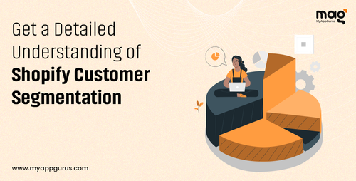 Get a Detailed Understanding of Shopify Customer Segmentation